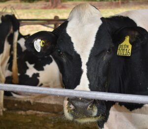 a4dc26f6aad0399b518001beb8de8136