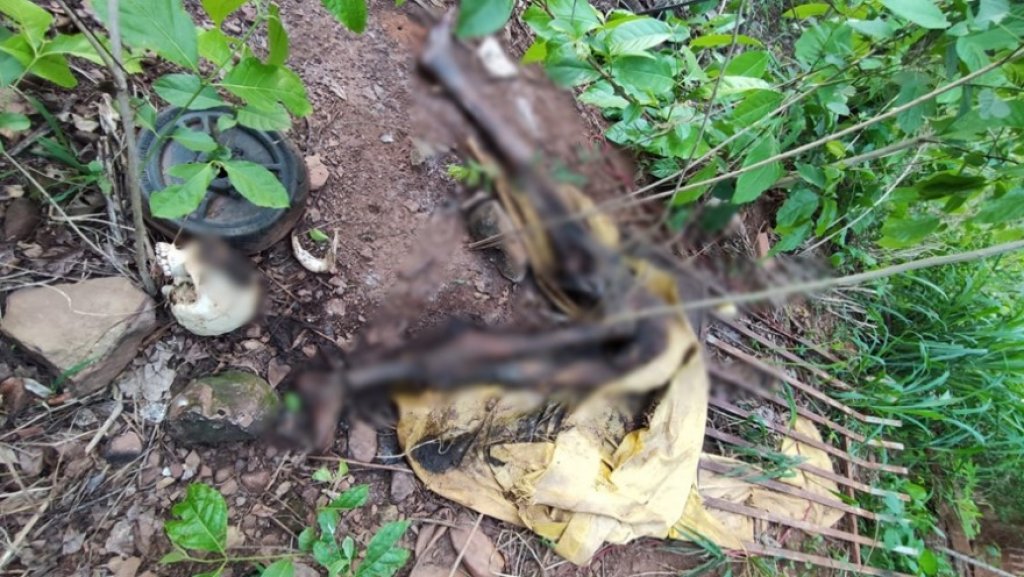 5152396a43bfdc4f1d3bc8546af368d4