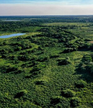 WhatsApp Image 2021-10-21 at 11.43.03