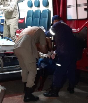 827b8f5f-da00-468d-b1f2-09907493682a (1)