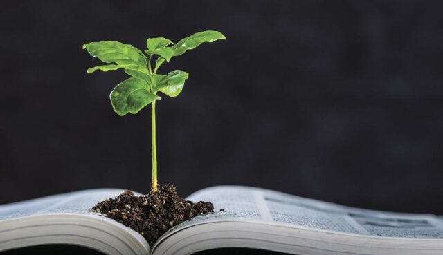 EDUCACAO AMBIENTAL