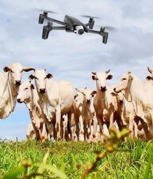 mtitecnologia-drones-controle-gado