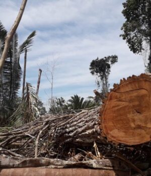 WhatsApp Image 2022-08-16 at 18_30_50