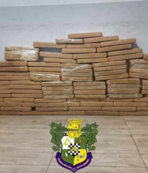 28.04 drogas ponte branca