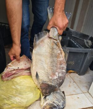 WhatsApp Image 2024-04-12 at 16.28.32