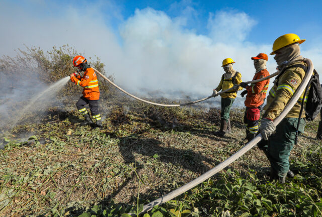 Combate à incêndios no Pantanal-106