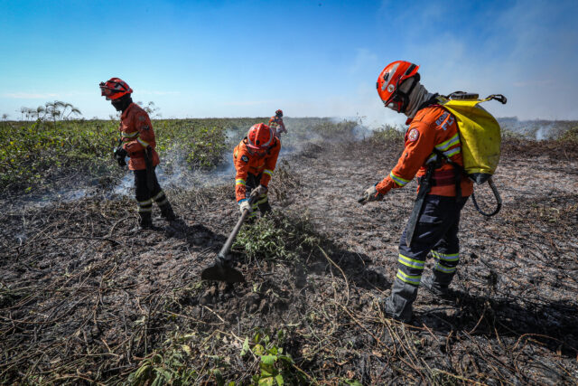 Combate à incêndios no Pantanal-66
