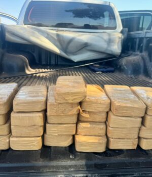 WhatsApp Image 2024-07-16 at 16.05.22