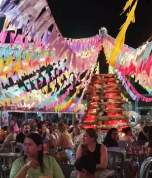 arraia-do-mei_p6895_cover_image_resized