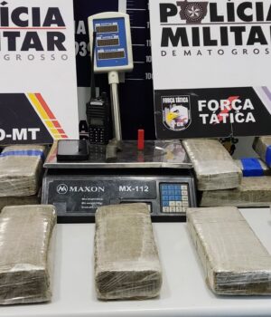 14.08 trafico sorriso 1