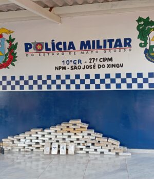 15.08 trafico sao jose xingu