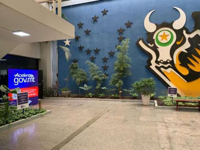 WhatsApp Image 2024-08-01 at 11.42.33