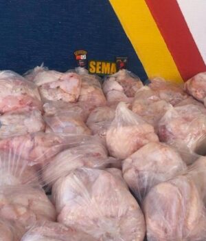 WhatsApp Image 2024-08-05 at 22.31.59xc