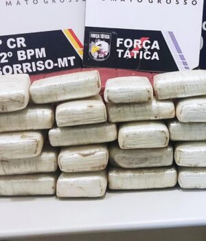 WhatsApp Image 2024-08-17 at 07.34.59