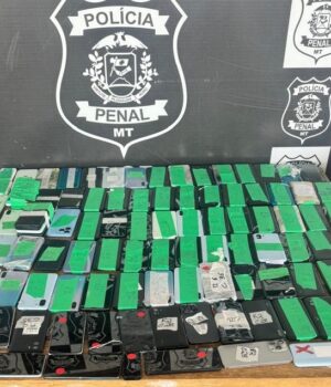 WhatsApp Image 2024-12-19 at 13.08.18