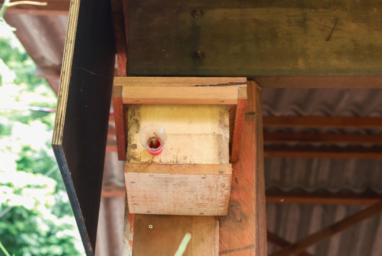 thumb 1280 0 0 0 auto 2 1