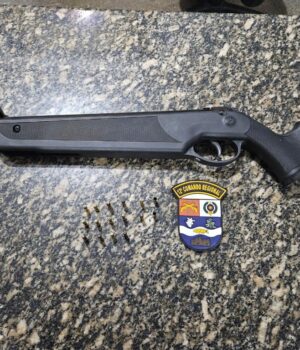 30.06 arma sao domingosder