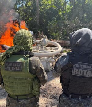 WhatsApp Image 2025-07-22 at 20.21.09 (1)ass