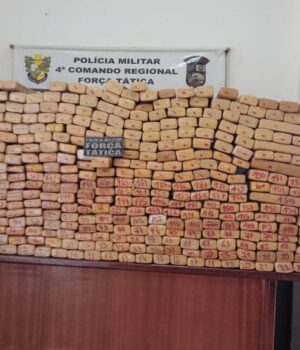 WhatsApp Image 2025-07-22 at 21.27.36sddds