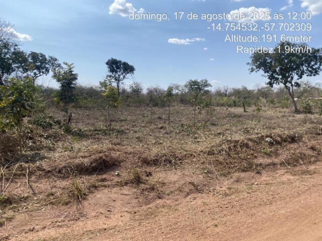 18.08 destamento tangara 1