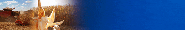 prefeitura
