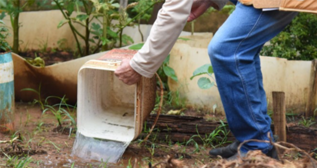 Mato Grosso registra primeira morte por chikungunya